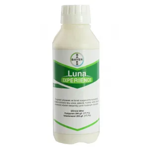 Izkušnje z Luno