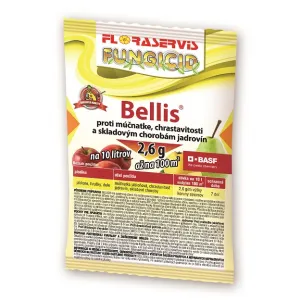 Bellis