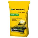 Barenbrug Odporna modra trata