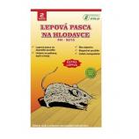 Past z lepilom Ekolas na leseni podlagi