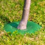 Varovalec Treeguard treeguard