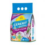 Cererit z gvanom za čebulo in česen