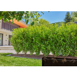 Gardena Micro-Drip – namakanje živih ograj/grmovnic – komplet (50 m)