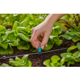 Gardena vrstna razpršilna šoba za majhne površine