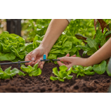 Gardena vrstna razpršilna šoba za majhne površine