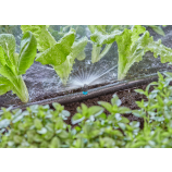Gardena razpršilna šoba 180°