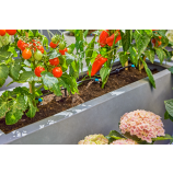 Gardena začetni komplet Micro-Drip-System za terase / 30 rastlin