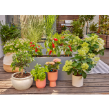 Gardena začetni komplet Micro-Drip-System za terase / 30 rastlin