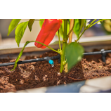 Gardena začetni komplet Micro-Drip-System za terase / 30 rastlin