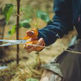 Fiskars Univerzalne škarje, 21 cm 1075031