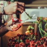 Fiskars univerzalne škarje za levičarje, 21 cm 1075035