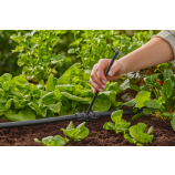 Gardena T-kos za razpršilne šobe