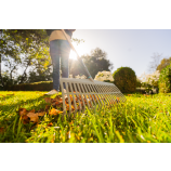 Gardena grablje za travo PureLine FSC® 100 %