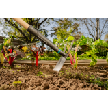 Gardena vrtna motika PureLine FSC® 100 %
