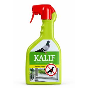 Kalif Ptice in golobi