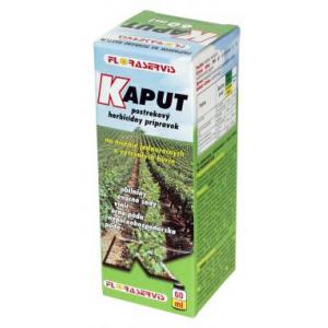 Kaput