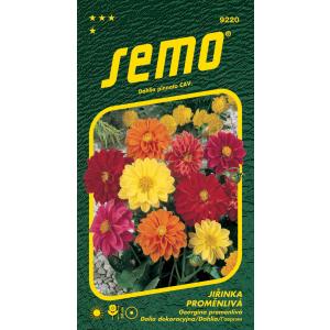 Seme Georgina Variable Compact Low Mix 1g