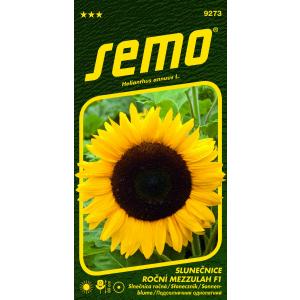 Sončnično seme Mezzulah F1 8s