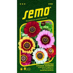 Seme marjetice Mavrična mešanica 0,5g