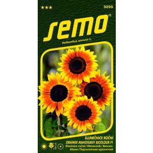 Sončnično seme Oranžna mahagonijasta dvobarvna F1 8s