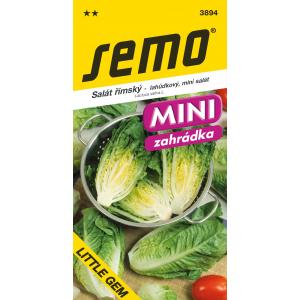 Semena rimske solate Little Gem polje 0,6 g