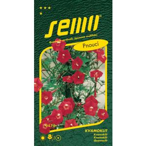 Semena Quamoclite kardinalski cvet 1g