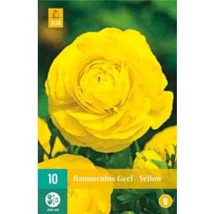 Ranunculus Ranunculus Rumena 'B'