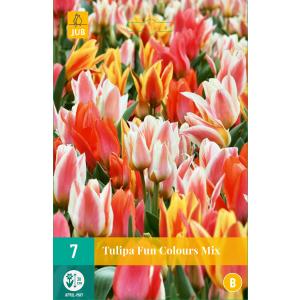 Tulipan Fun Colours "B"