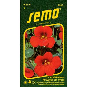 Semo Cappuccino večji Princess of India 2g