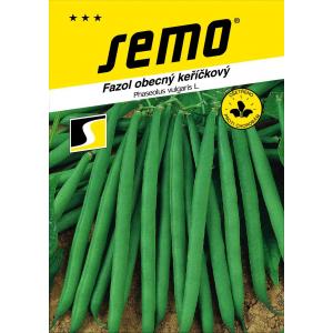 Semena zelenega fižola Gama brez vlaknin 20g