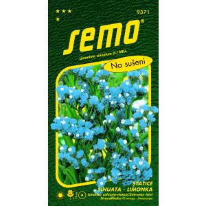 Seme Lemon Statica sinuata Heavenly Blue blue modra 0,5 g