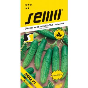 Semena kumare Bara F1 groba 2g