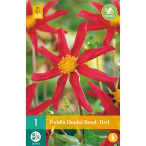 Georgina HONKA RED "B"