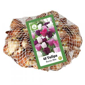 Tulipan Pastel Mix 40 čebulic