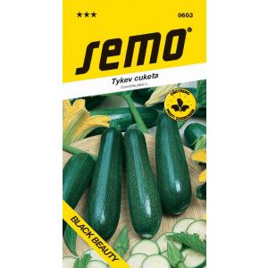 Semena buče bučke Black Beauty temno zelena 1,5g