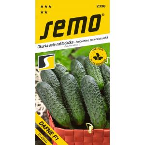 Seme kumare Dafne F1 partenokarpična groba kumara 1,5g