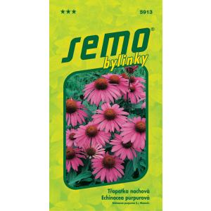 Echinacea vijolična Echinacea seme 1g