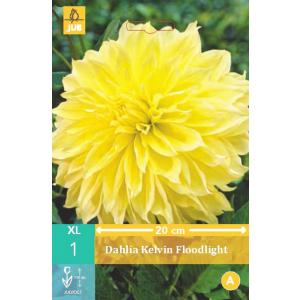 Georgina KELVIN POVODNA SVETLOBA "B"