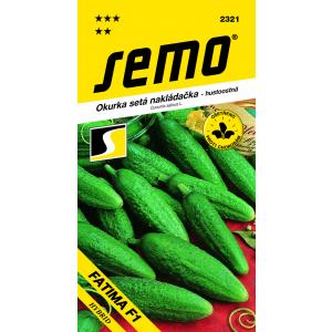 Seme kumare Fatima F1 gosto 2g