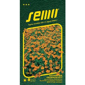 Aksamitum drobnocvetni oranžni 0,2g