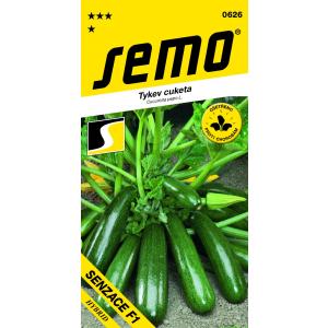 Semena bučk Sensation F1 rahlo mrežasto 1,5 g