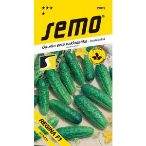 Seme kumare Regina F1 2g