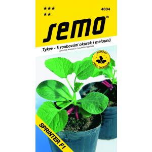 Seme Sprinter F1 15s za cepljenje buč