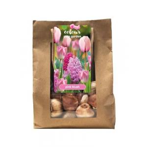 Obarvajte svoj vrt Pink blush 25 čebulic