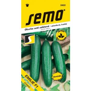 Seme rastlinjakove kumare Emilia F1 Kr 10s