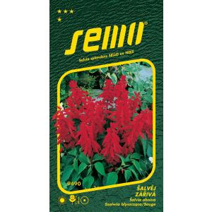 Semena žajblja sijoča Rdeča kapica 0,5 g