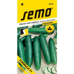 Seme rastlinjakove kumare Formula F1 dl 10s