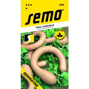 Bučno seme Serpentin F1 2g