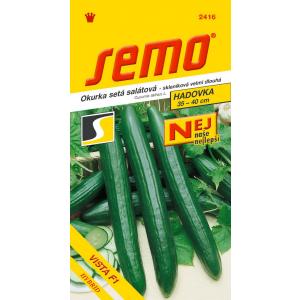 Seme rastlinjakove kumare Vista F1 dl 10s