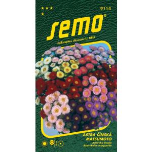 Semena Astra china Matsumoto mešanica 0,3g